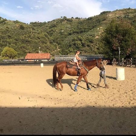 La Stalla, Casa Rustica Nel Ranch Di Cavalli Camporosso  Buitenkant foto