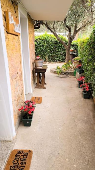 La Stalla, Casa Rustica Nel Ranch Di Cavalli Camporosso  Buitenkant foto